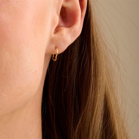 Twig øreringe af Pernille Corydon e-314-gp