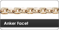 Anker Facet
