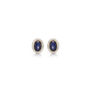 Royal Sapphire øreringe i 14 karat guld 1514031
