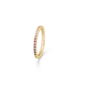 Poetry rainbow ring i 14 karat guld m. 1544061