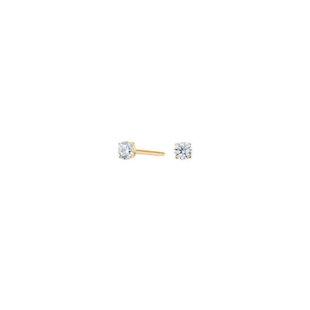 Pure Titanium Nikkelfri øreringe 30150003800