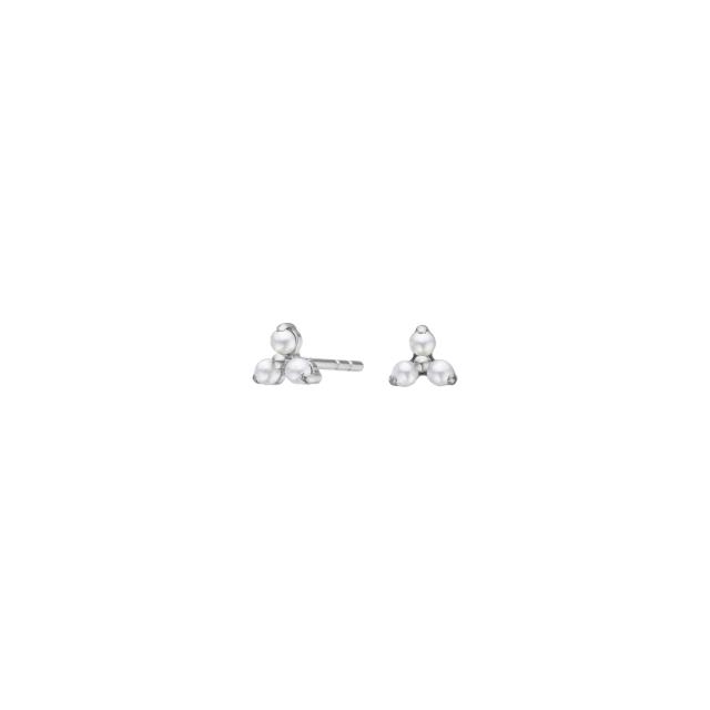 Pure Titanium Nikkelfri øreringe 30150083700