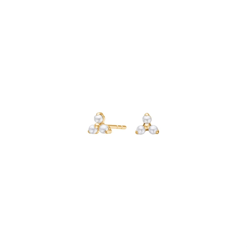 Pure Titanium Nikkelfri øreringe 30150083800