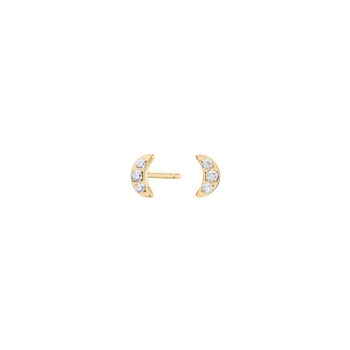 Pure Titanium Nikkelfri øreringe 30150153800