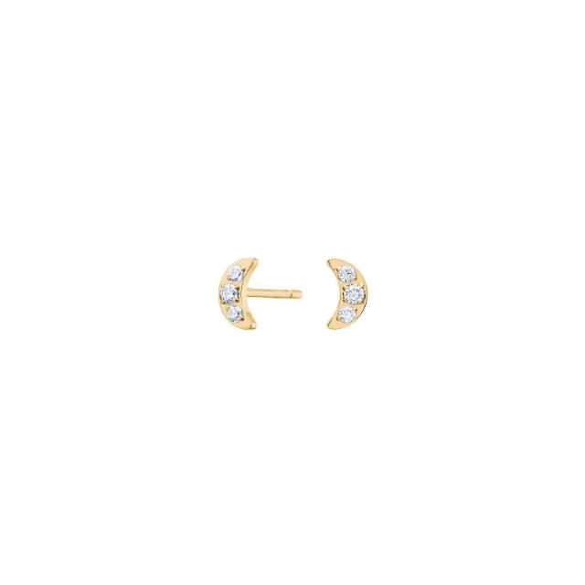 Pure Titanium Nikkelfri øreringe 30150153800