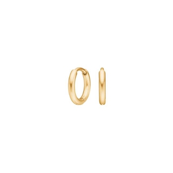 Pure Titanium Nikkelfri øreringe 30150203800