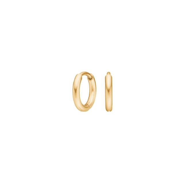 Pure Titanium Nikkelfri øreringe 30150203800