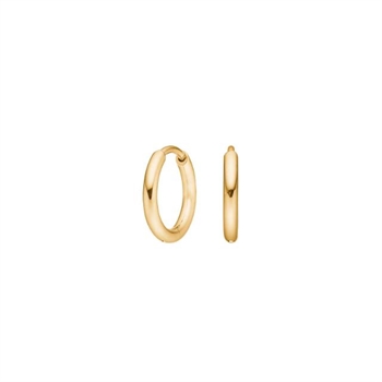 Pure Titanium Nikkelfri øreringe 30150213800