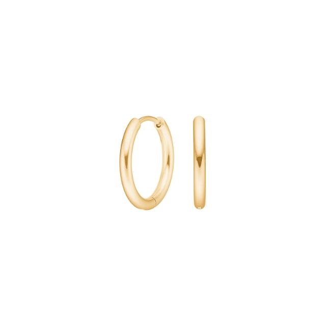 Pure Titanium Nikkelfri øreringe 30150223800