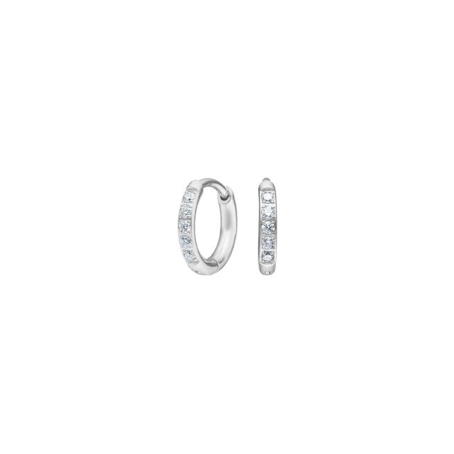 Pure Titanium Nikkelfri øreringe 30150233700
