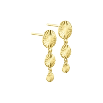  Aqua Dulce Line Coin øreringe i forgyldt sølv Guldcenter