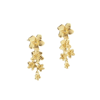  Aqua Dulce - Jasmin Big Earstud i forgyldt sterlingsølv