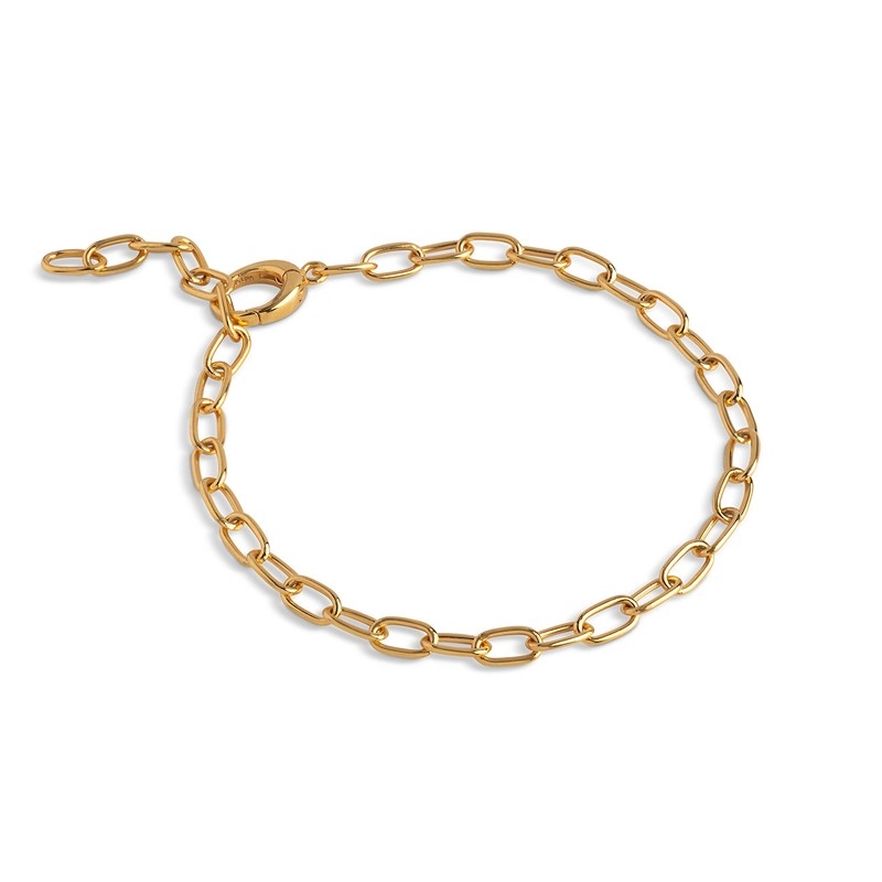 Enamel Medium Charm armbånd i forgyldt sølv B143G