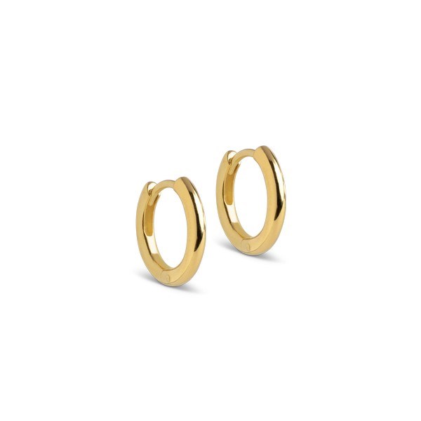 Billede af Enamel - Chunky Classic Hoops (10mm) i forgyldt sølv