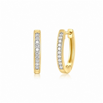 De elegante hoops i 8 karat guld med zirkonia