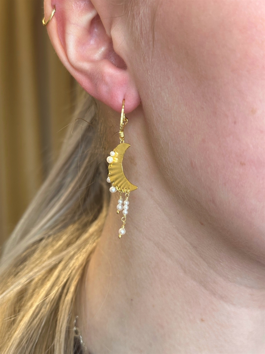 Maanesten - Esta øreringe forgyldt 9843a