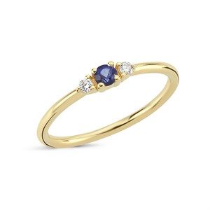 Petit - Blå safir ring i 14 kt. guld | R1110