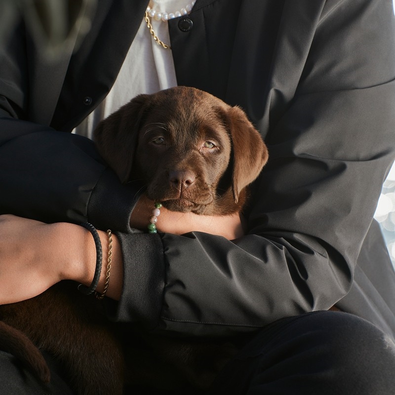 Son of Noa - SON armbånd i stål IPG 80890292821