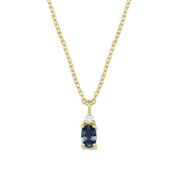Petit oval - Safir halskæde i 14 kt. guld | V1111