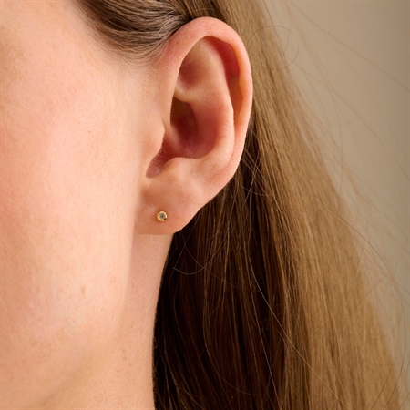Astra ørestikker øreringe af Pernille Corydon e-838-gp