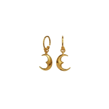 Moonie Hoops i forgyldt fra Maanesten 9589A
