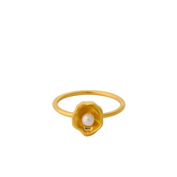 Hidden Pearl ring fra Pernille Corydon r-448-gp