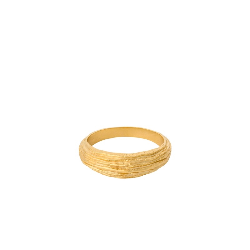 Coastline ring i forgyldt af Pernille Corydon R-470-gp